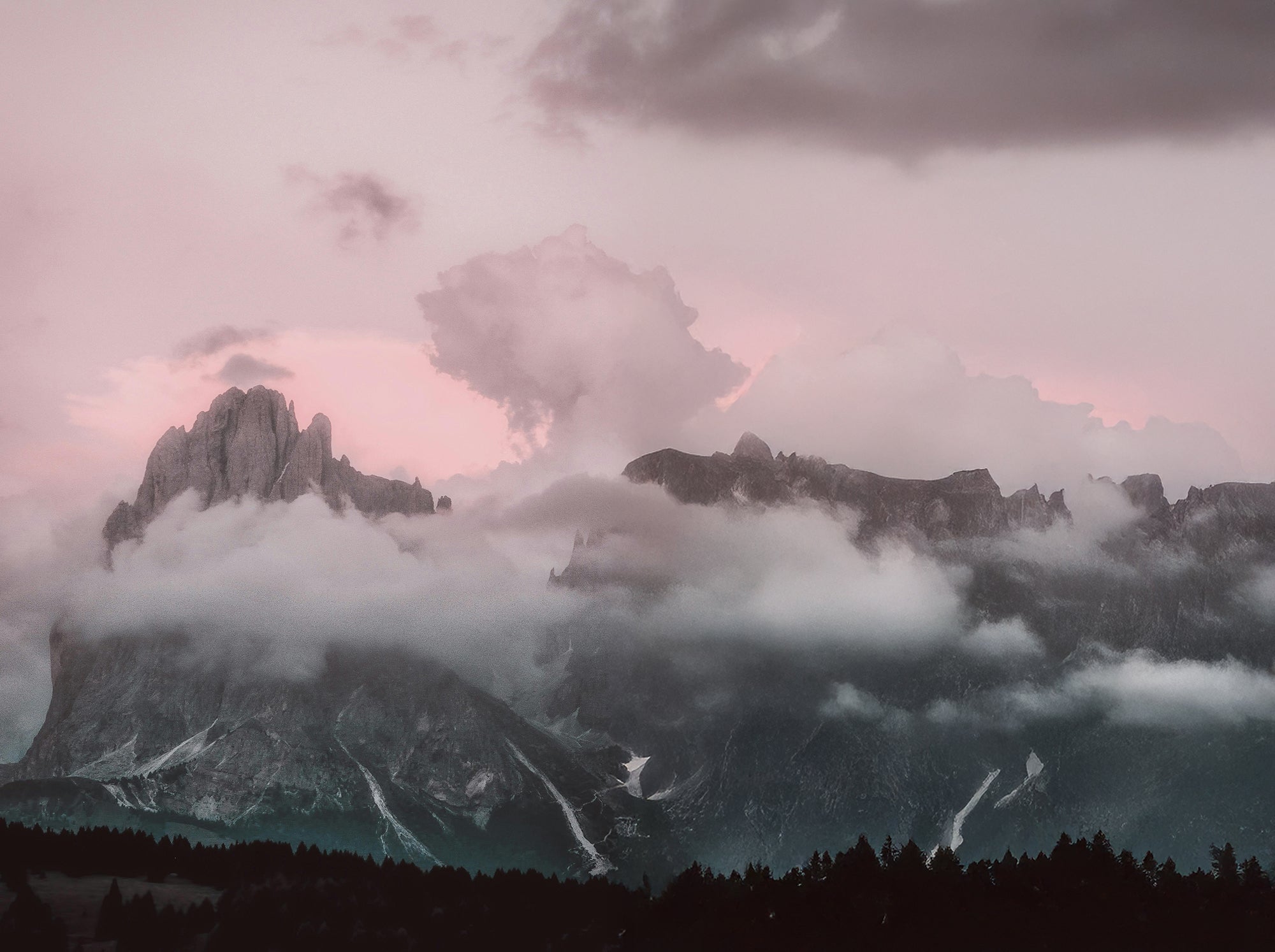 Glacier Rose