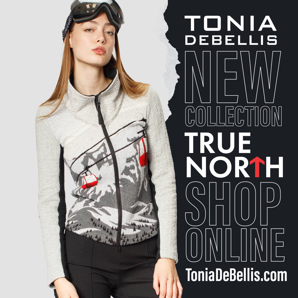 True North